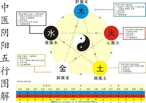 火多木焚|五行相生，指的是木、火、土、金、水的互相的運動變。